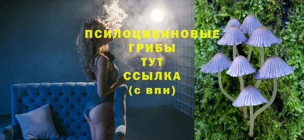 дмт Мегион