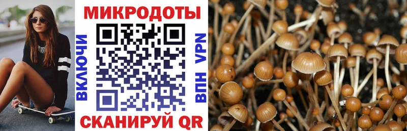 закладка hydra вход Галлюциногенные грибы ЛСД Нюрба